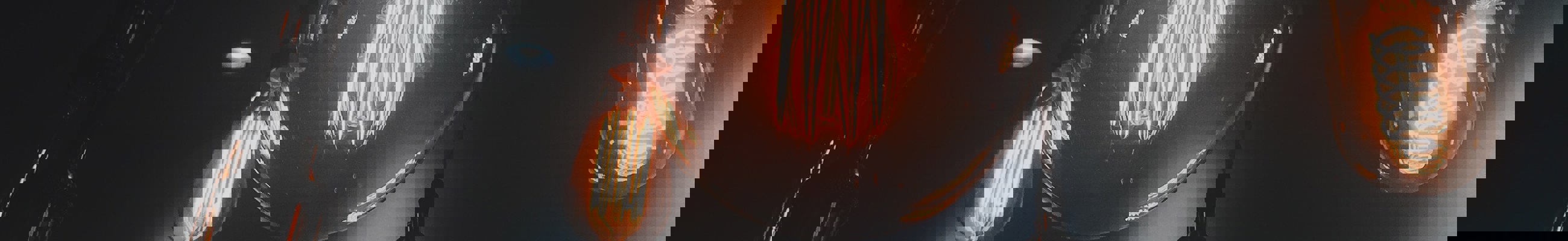 Pexels Saya Kimura 401107